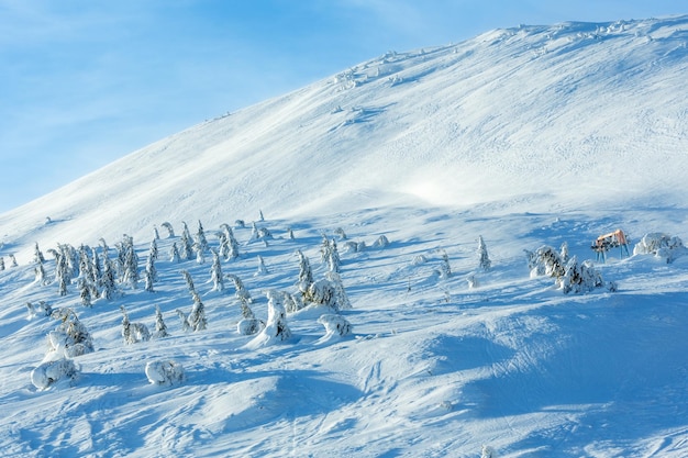 Icy Snowy Jodły I Wyciąg Narciarski Na Wzgórzu Zimowy Poranek.