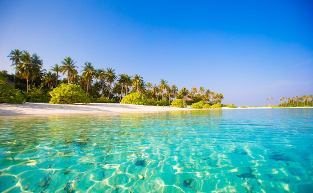 Idealna biała plaża z turkusową wodą na idealnej wyspie