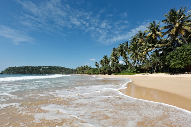 Idylliczna plaża Sri Lanka