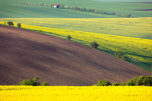 Idylliczne kolorowe pola krajobrazowe wiejskie wzgórza