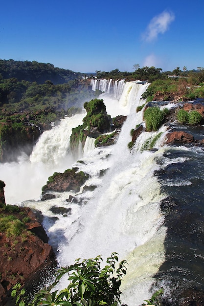 Iguazu spada w Argentynie i Brazylii