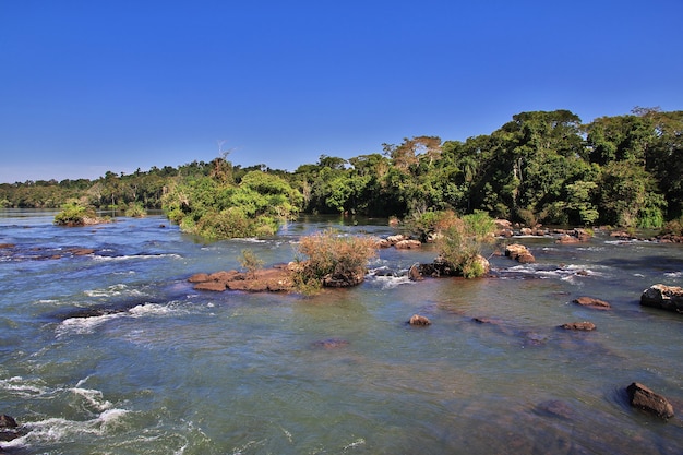 Iguazu spada w Argentynie i Brazylii