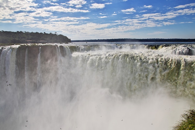 Iguazu zakochuje się w Argentynie i Brazylii