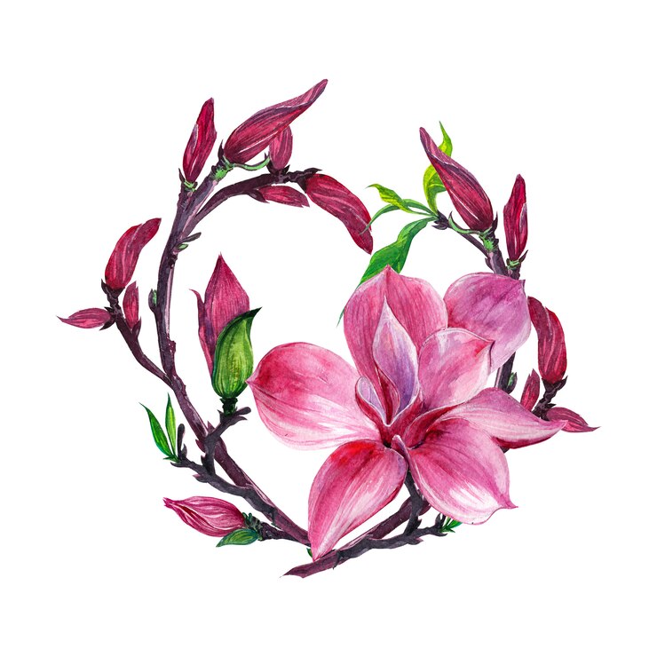 Zdjęcie ikiebana, wieniec kwiatowy kwiaty magnolii, odizolowane