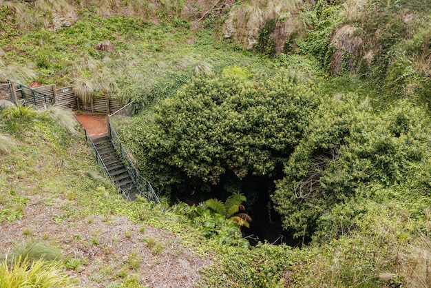 Ikoniczny i popularny system jaskiń Engelbrecht, który jest dziurą pod górą Gambier CBD w Południowej Australii Australia