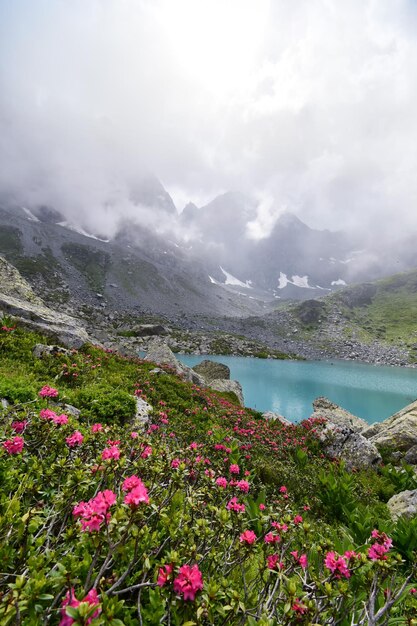 Il lago Chiarettoalle pendici del Monvisocon le sue splendide acque color turchese