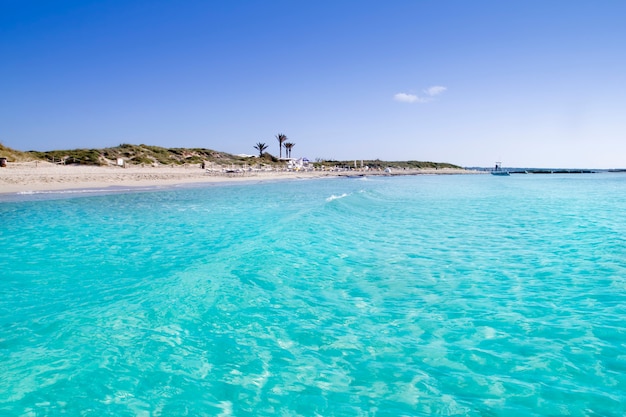 Illetas illetes turkusowa plaża brzeg Formentera