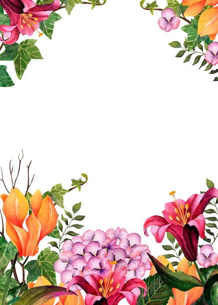 Ilustracja akwarela hortensja Niebieski kwiat lato na białym tle