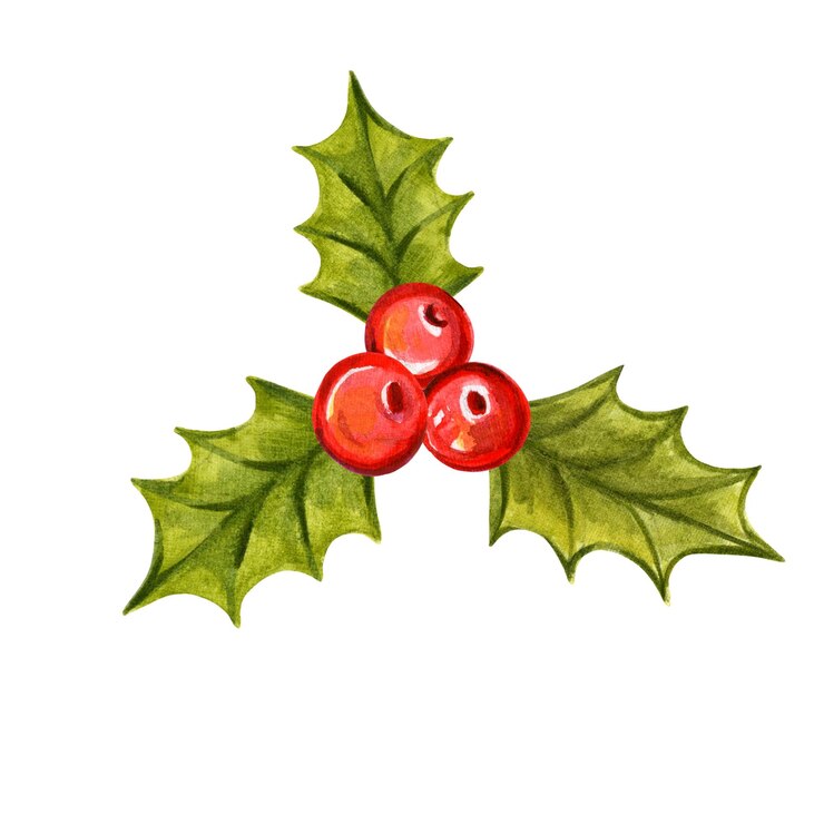 Zdjęcie ilustracja akwarelowa gałązki holly z czerwonymi jagodami