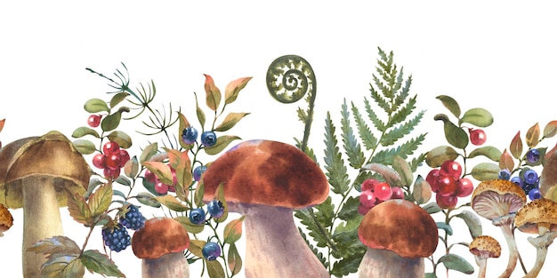 Ilustracja akwarelowa grzyby leśne boletus paprocie i borówki borówki ręcznie narysowane