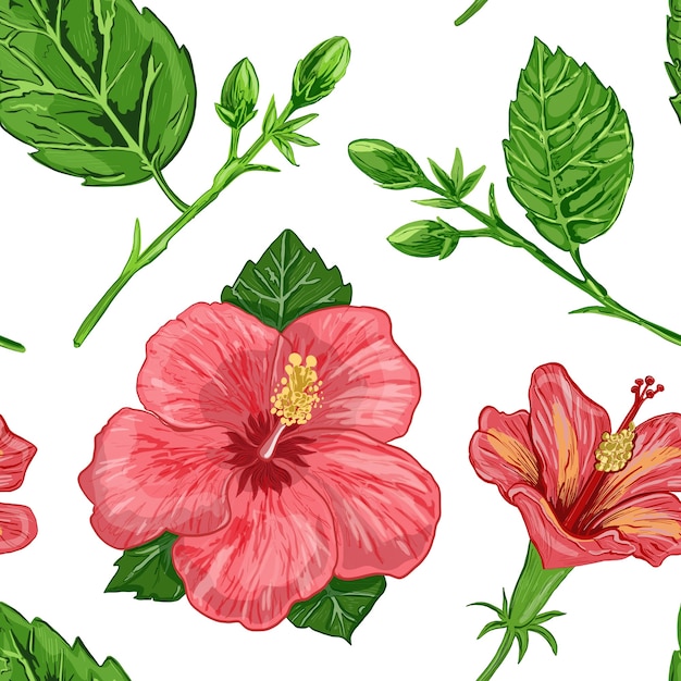 Ilustracja Bezszwowego Wzoru Roślin Hibiskusa, Kwiatów I Liści Rośliny Na Tle