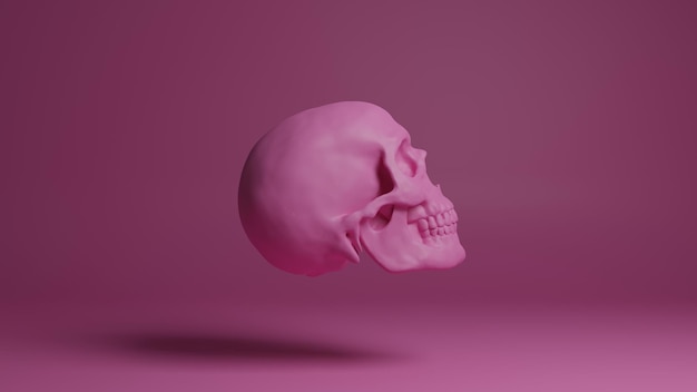 Ilustracja czaszki 3d Człowiek czaszka odizolowany Koncepcja sztuki obraz tła
