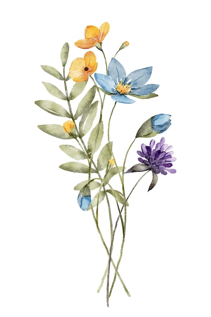 ilustracja kwiatów akwarelowych