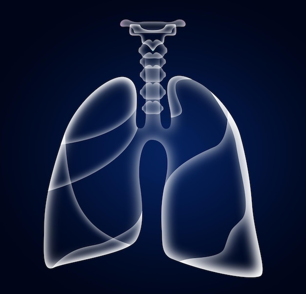 Ilustracja ludzkich płuc na ciemnoniebieskim tle