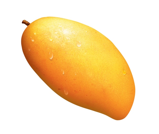 Ilustracja mango