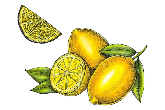 Ilustracja png z cytryną na przezroczystym tle