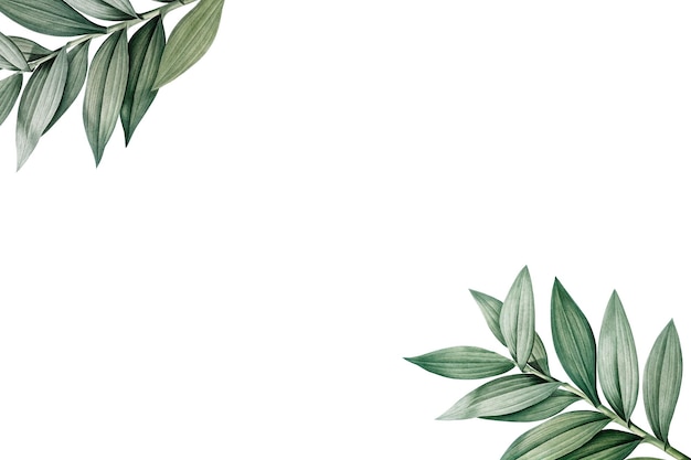 Ilustracja tła tropikalnych liści botanicznych