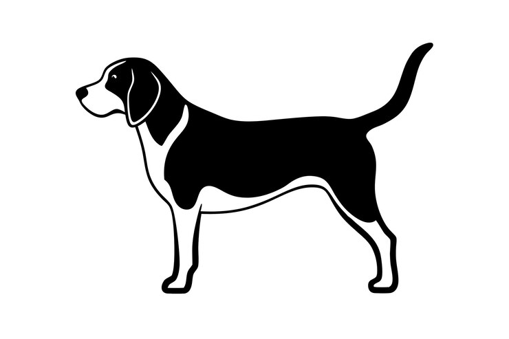 Zdjęcie ilustracja wektorowa sylwetki beagle
