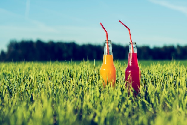 Impreza alkoholowa Koktajle czerwony i pomarańczowy świeży napój w butelkach stojących w letniej trawie ze słomką