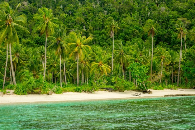 Indonezja. Dzika Plaża Na Tropikalnej Wyspie Pokrytej Dżunglą. Biały Piasek I Palmy