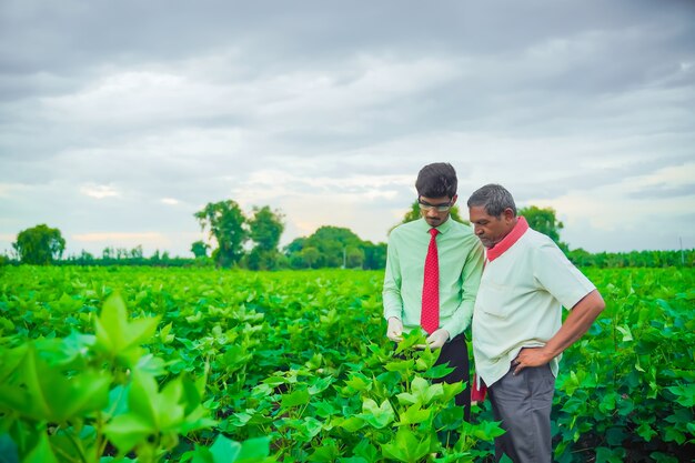 Indyjski Rolnik Dyskutuje Z Agronomem Na Farmie I Zbiera Informacje