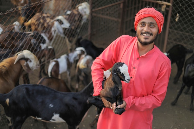 Indyjski rolnik na farmie mlecznej kóz
