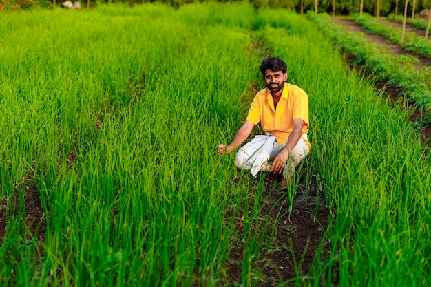 Indyjski rolnik na polu warzyw