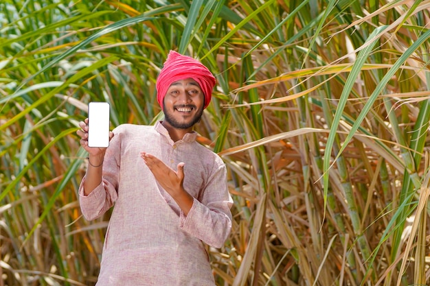 Indyjski rolnik pokazując smartfon w dziedzinie rolnictwa trzciny cukrowej.