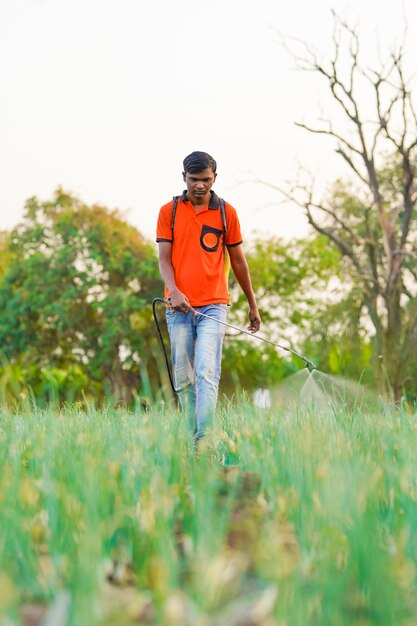 Indyjski rolnik rozpylający pestycydy na polu zielonej cebuli
