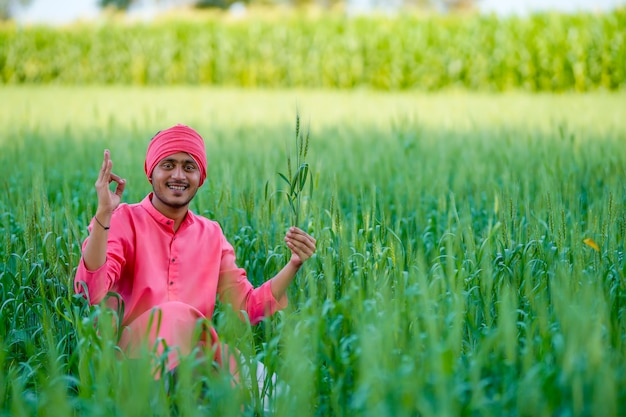 Indyjski rolnik, trzymając w ręku rośliny uprawne w polu pszenicy