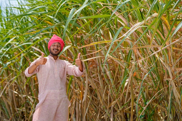 Indyjski rolnik w zielonym polu rolnictwa trzciny cukrowej.