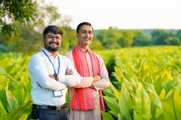 Indyjski rolnik z młodym indyjskim bankierem lub agronomem na zielonym polu kurkumy