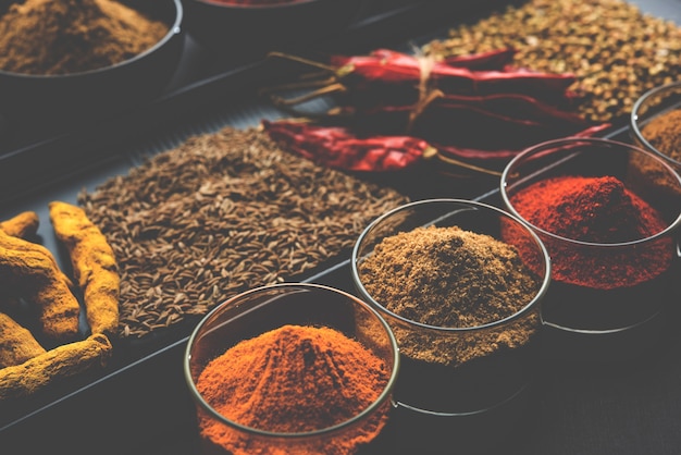 Indyjskie kolorowe przyprawy. Zdjęcie grupowe czterech podstawowych indyjskich przypraw, takich jak surowe czerwone chili, kurkuma, kolendra i kminek w proszku. selektywne skupienie