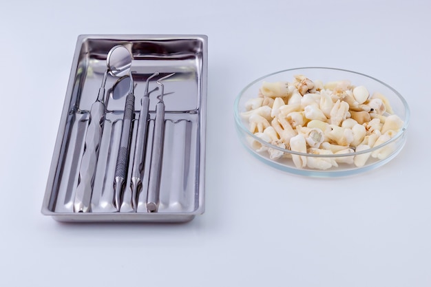 Instrumenty dentystyczne i zębyDentysta instrument w srebrnym naczyniu i zęby w szklanej płytce leżą