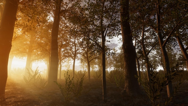 Integracja technologii w naturalnym środowisku renderowania 3D