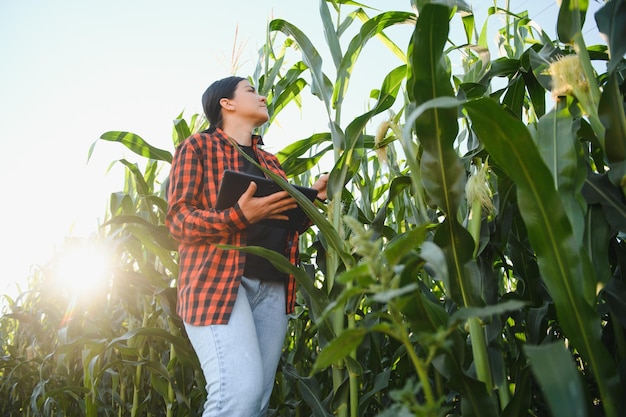 Inteligentna kobieta rolnik agronom przy użyciu cyfrowego tabletu do badania i kontroli jakości upraw kukurydzy Nowoczesne technologie w zarządzaniu rolnictwem i agrobiznesie