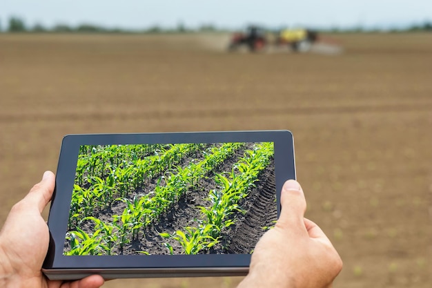 Zdjęcie inteligentne rolnictwo. rolnik za pomocą sadzenia kukurydzy w tabletkach. nowoczesna koncepcja rolnictwa.