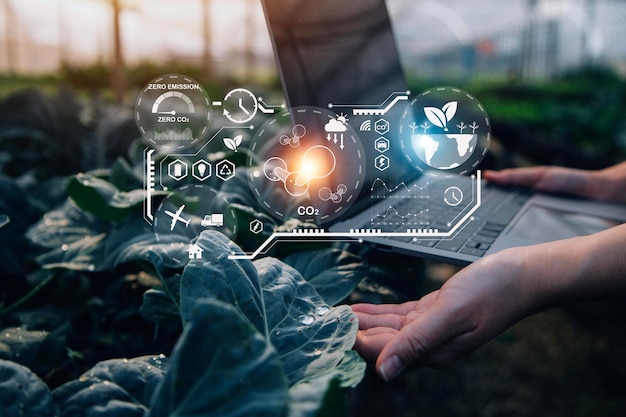 Inteligentny rolnik korzystający z aplikacji według koncepcji tabletu nowoczesne warzywa i sałata ogrodnicza w szklarni i ikonie wizualnej
