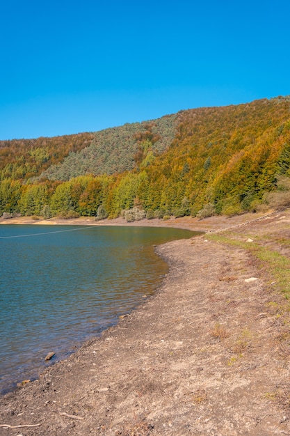 Irati las lub dżungla jesienią, piękny zbiornik Irabia. Ochagavia, północna Nawarra w Hiszpanii