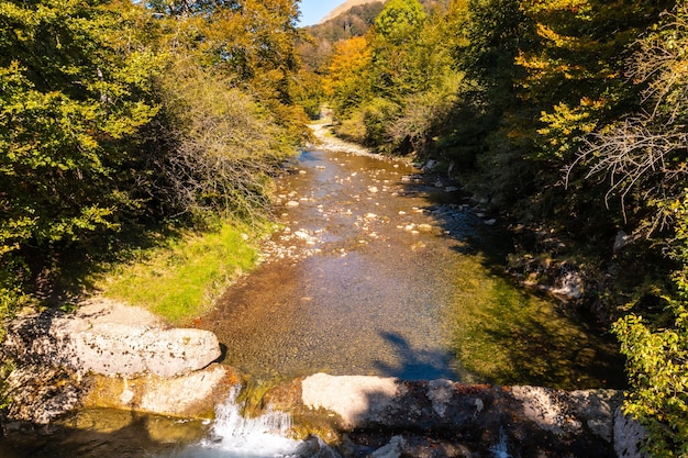 Zdjęcie irati las lub dżungla jesienią, rzeka w kierunku zbiornika irabia. ochagavia, północna nawarra w hiszpanii