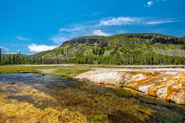 Iron Spring Creek w Yellowstone