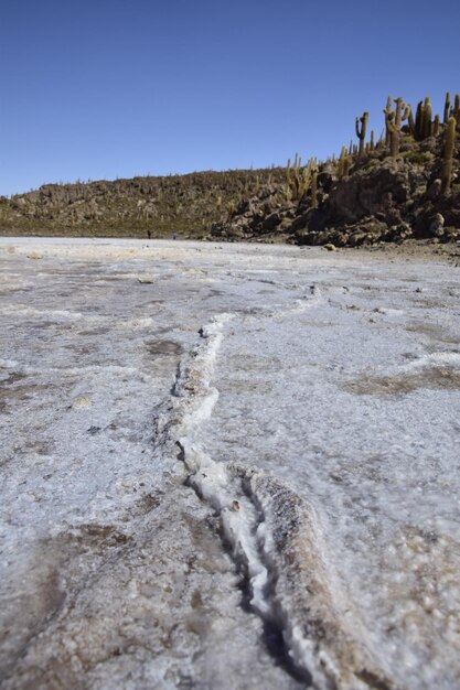 Isla Incahuasi W środku Największej Na świecie Równiny Solnej Salar De Uyuni Boliwia