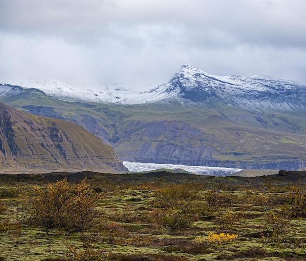 Islandia krajobraz jesiennej tundry w pobliżu lodowca Haoldukvisl Islandia Język lodowca zsuwa się z pokrywy lodowej Vatnajokull lub lodowca Vatna w pobliżu subglacjalnego wulkanu Esjufjoll Niedaleko obwodnicy Islandii