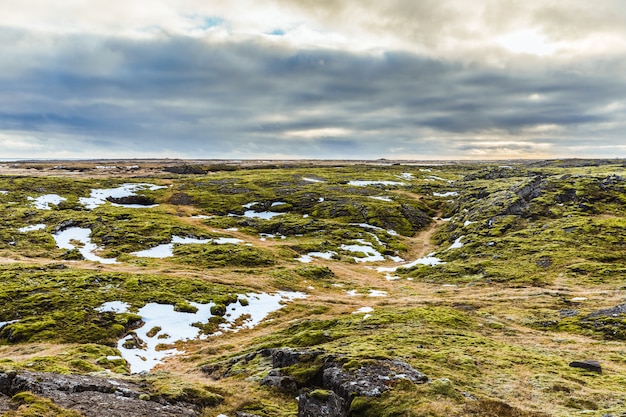 Islandia krajobraz: skały, mech i śnieg