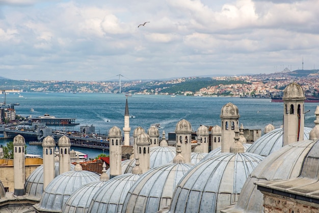 Istanbul, Turcja - 28 Maja: Widok Na Dachy Meczetu Sulejmana Wspaniałego W Stambule Turcja 28 Maja 2018 R.