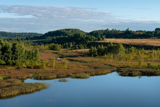 Izborskomalskaya Valley I Gorodishchenskoe Lake W Słoneczny Letni Dzień Izborsk Region Pskowa Rosja