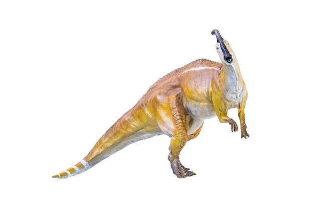 Zdjęcie izolowane tło dinozaura parasaurolophus