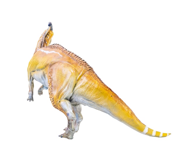 Zdjęcie izolowane tło dinozaura parasaurolophus