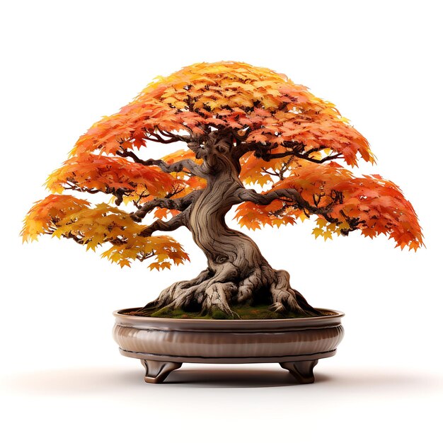 Izolowany Trident Maple Bonsai Tree Stone Pot Lobed Leaves Autumn Them on White BG Japan Chińska sztuka