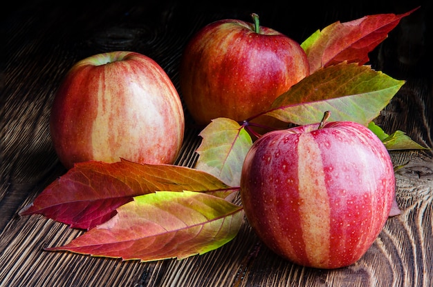 Jabłka w czerwone paski z liśćmi dziewiczych winogron